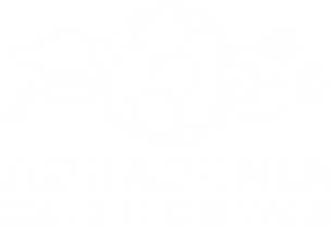 Accademia Calcio Digitale